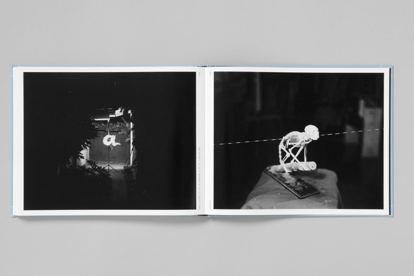 VERY PICTORIAL CONCEPTUAL ART - Robert Cumming