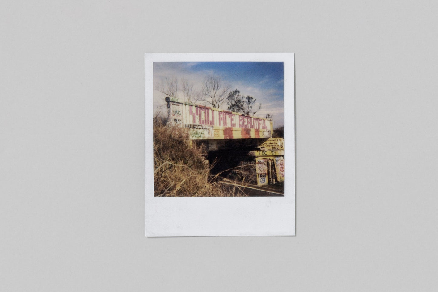 POLAROID KID - Mike Brodie