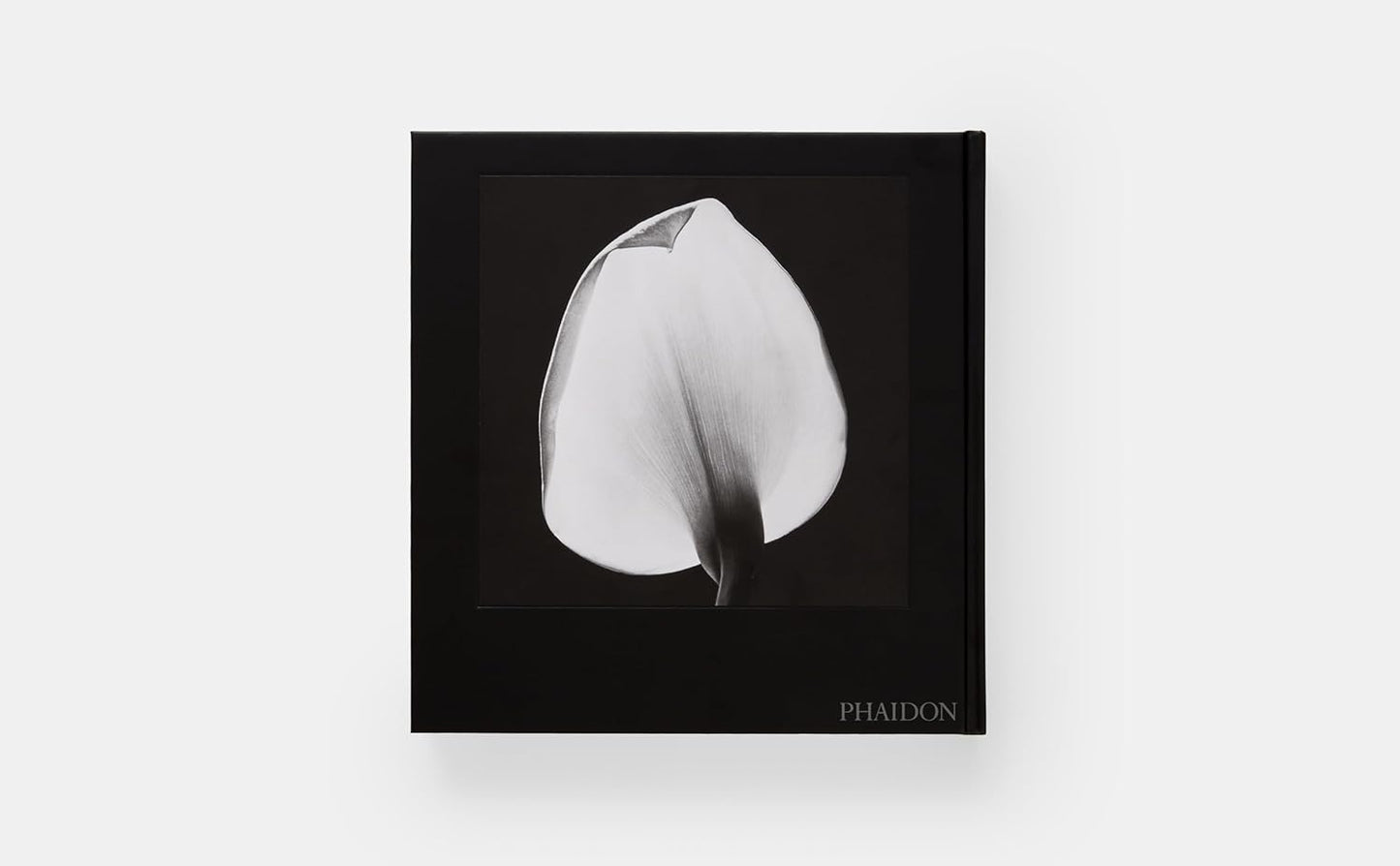 Mapplethorpe Flora: The Complete Flowers