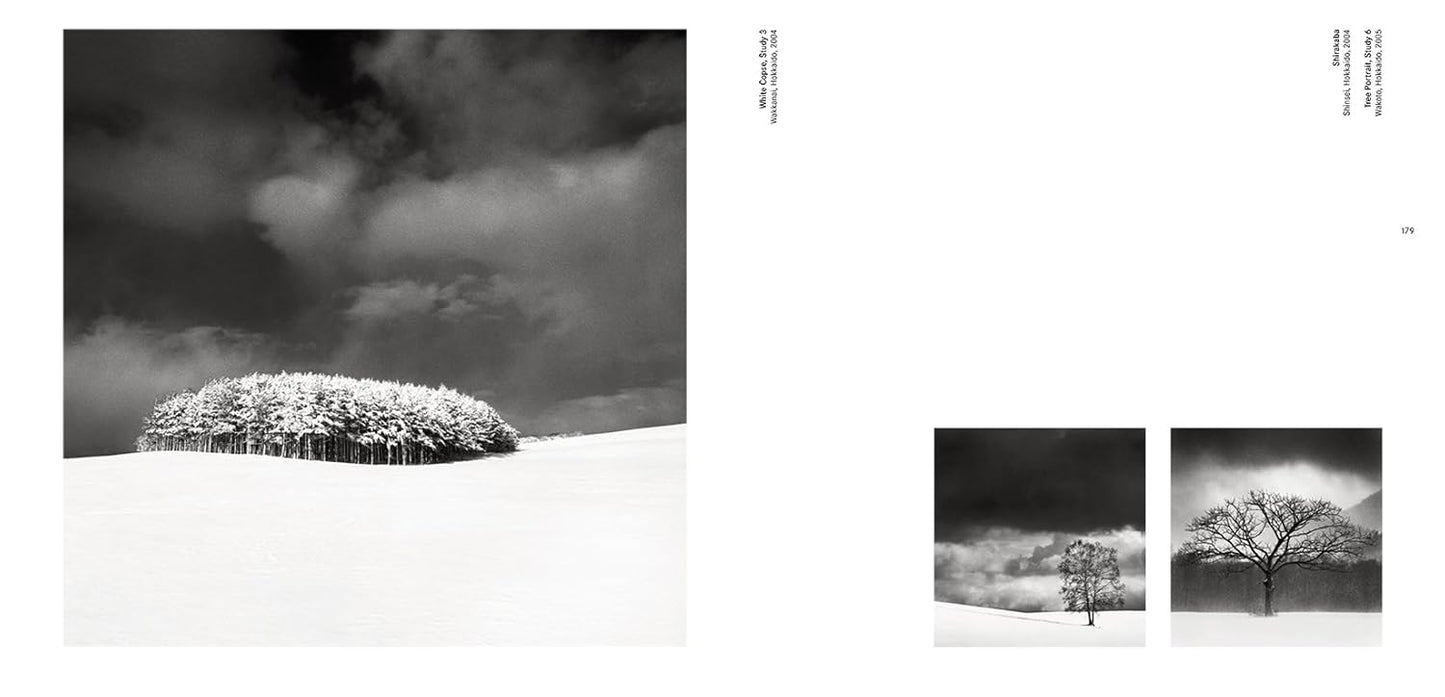 Forms of Japan - Michael Kenna
