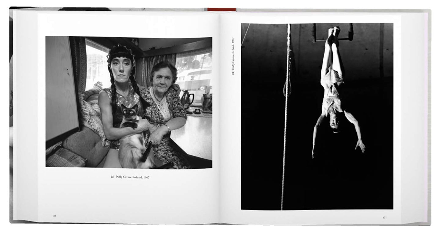 Bruce Davidson: Survey