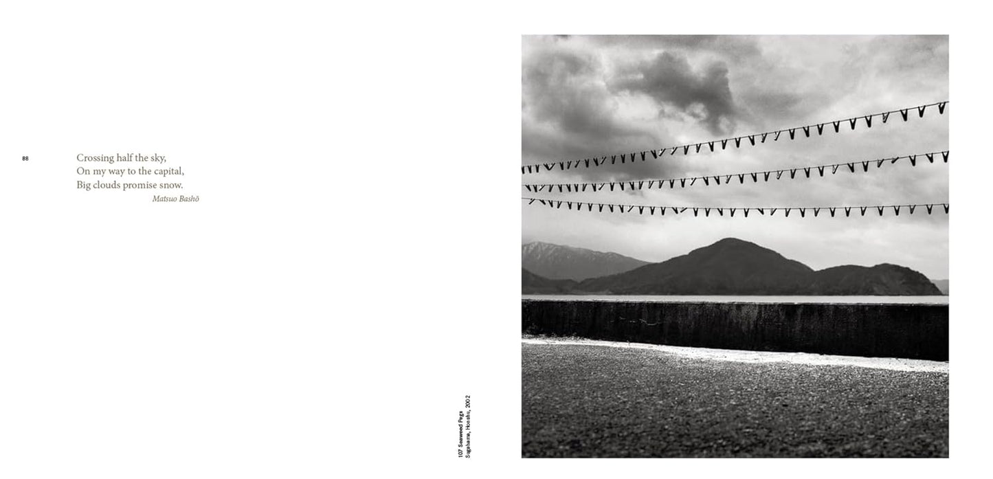 Forms of Japan - Michael Kenna