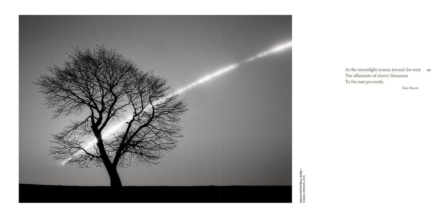 Forms of Japan - Michael Kenna