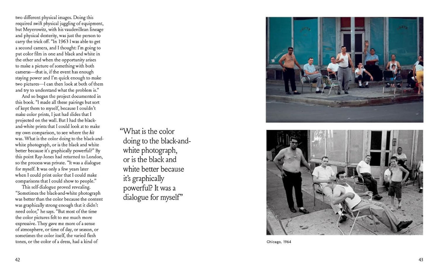 Joel Meyerowitz: A Question of Color