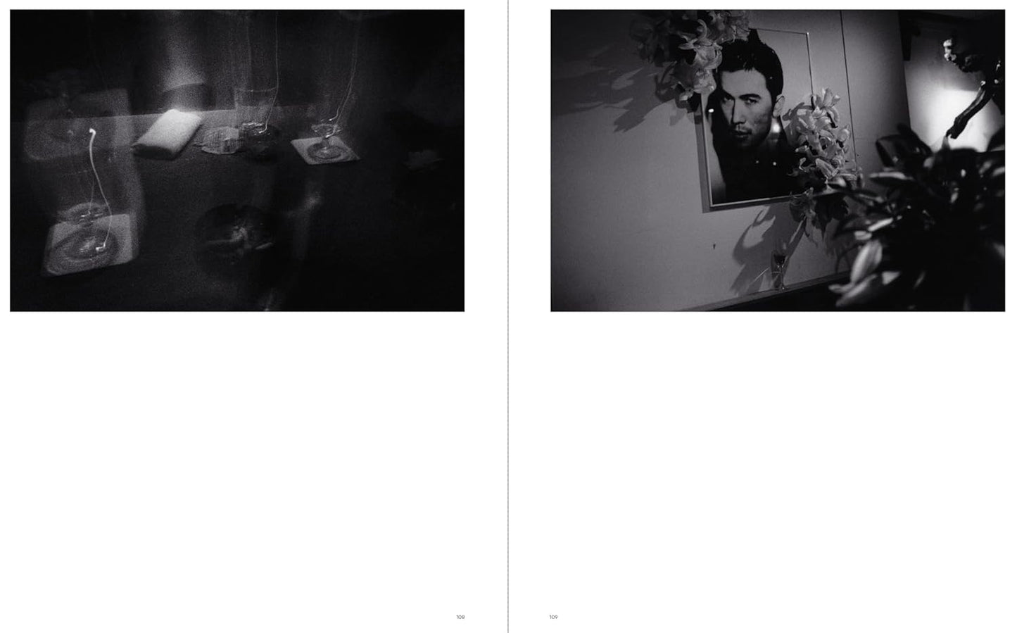 Sakiko Nomura: Tender Is the Night