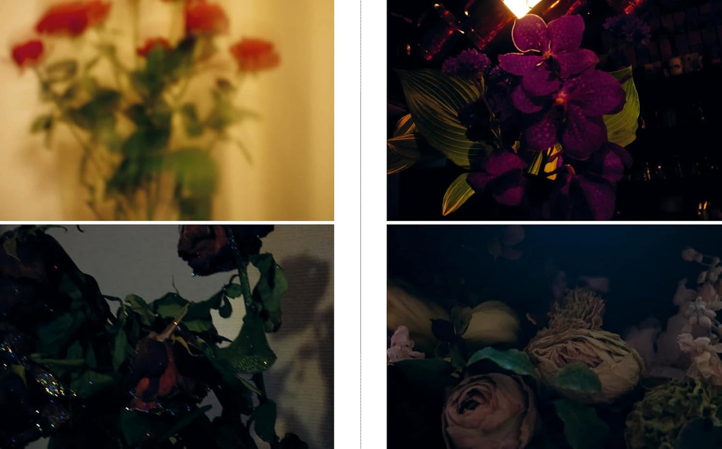 Sakiko Nomura: Tender Is the Night
