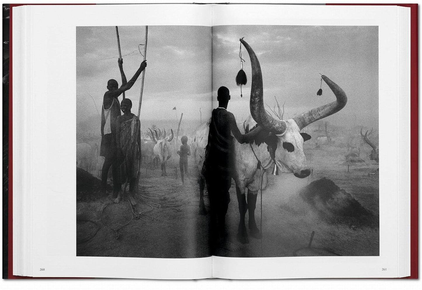 Genesis XL - Sebastiao Salgado
