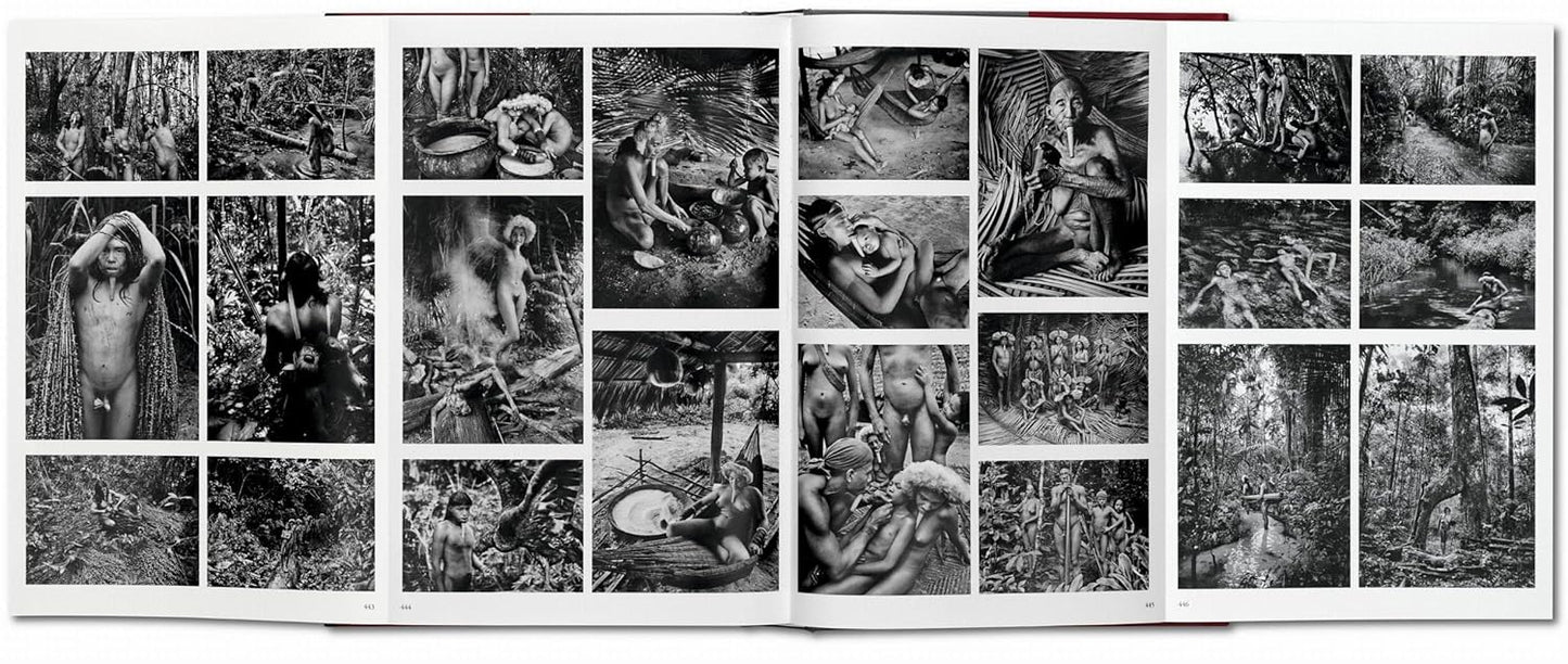 Genesis XL - Sebastiao Salgado