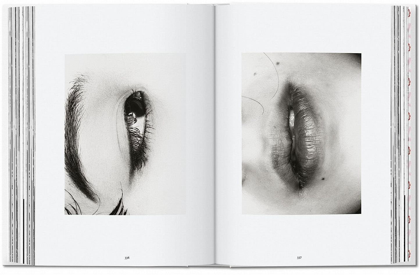Araki. 40th Ed