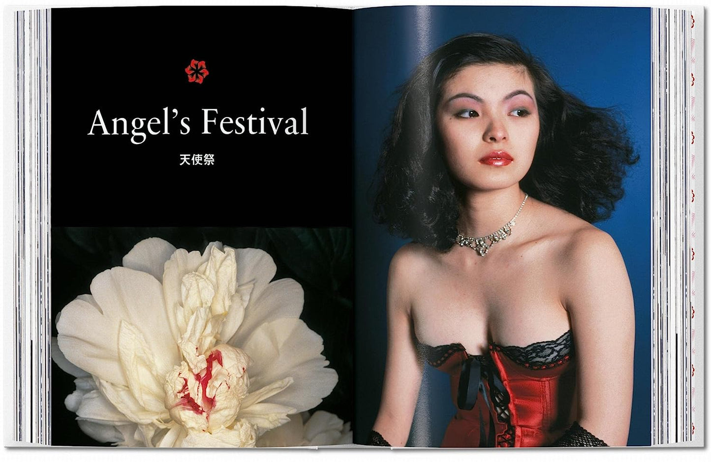 Araki. 40th Ed