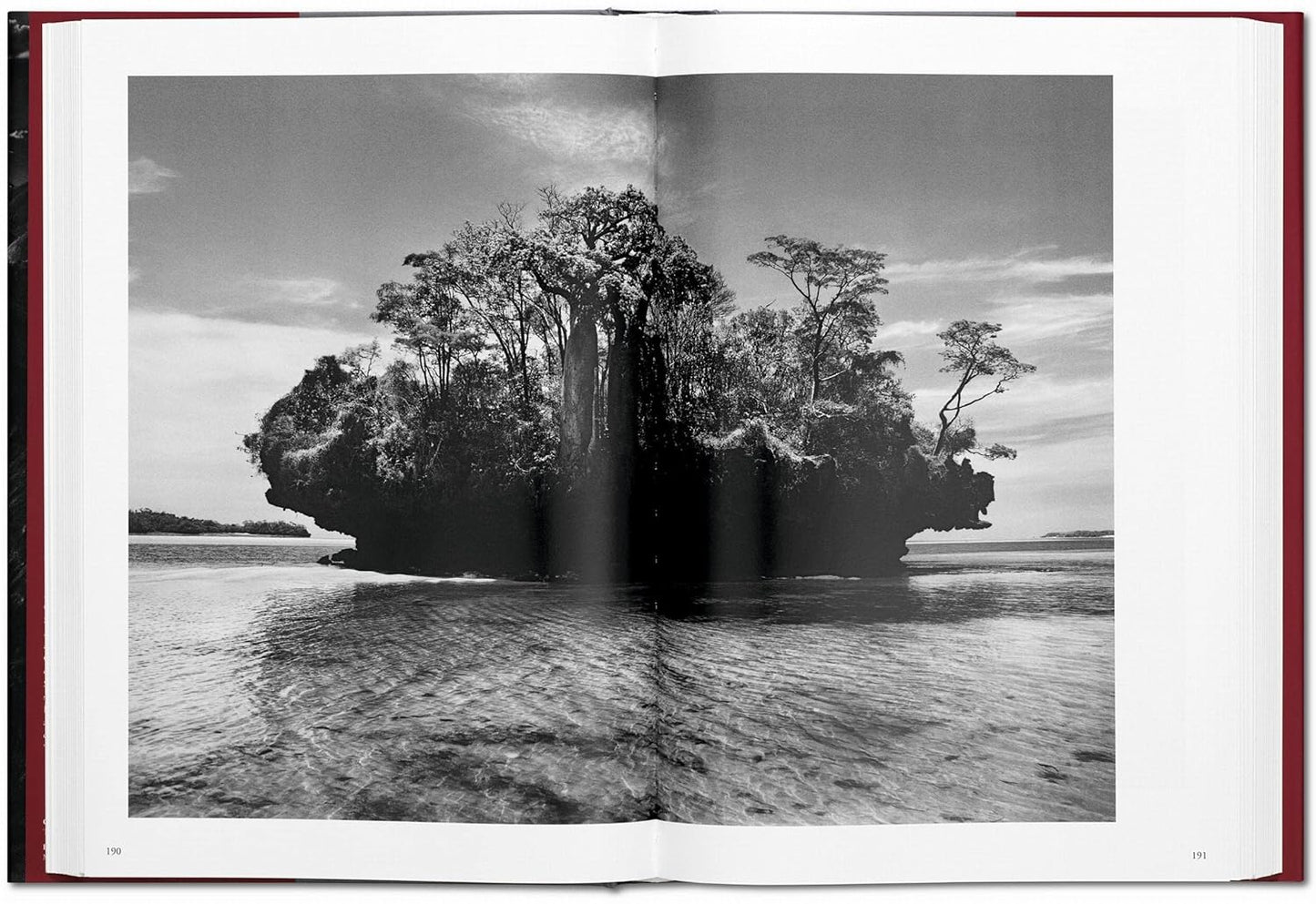 Genesis XL - Sebastiao Salgado