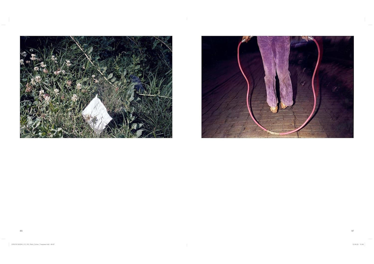 Mark Cohen: Trespass