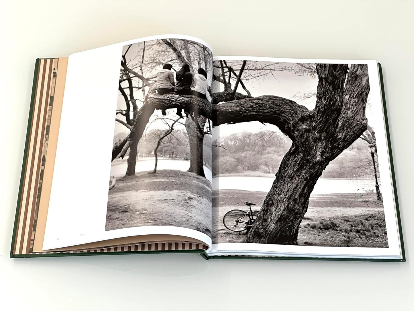 Prospect Park: Photographs of a Brooklyn Oasis, 1980 to 2025