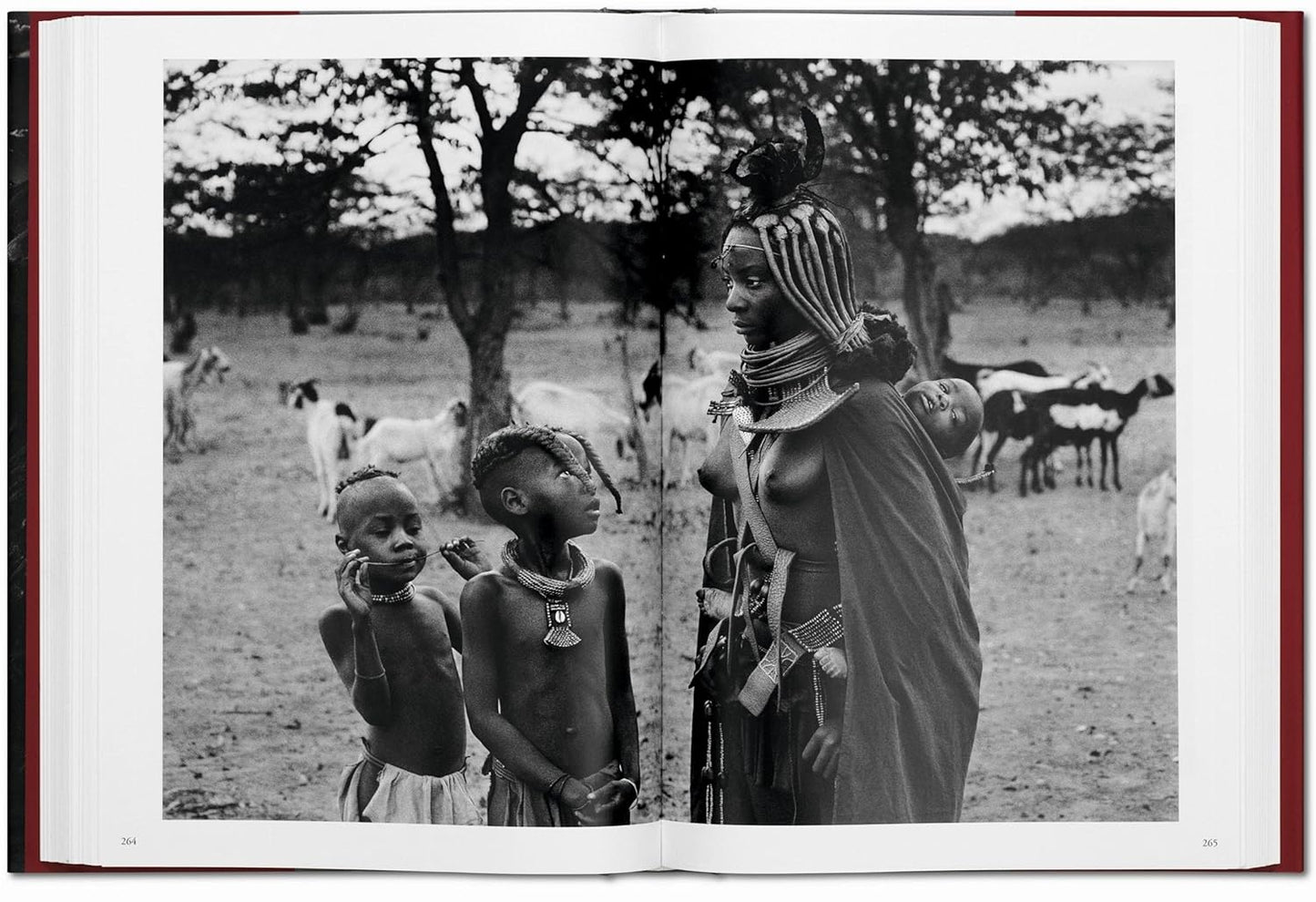 Genesis XL - Sebastiao Salgado
