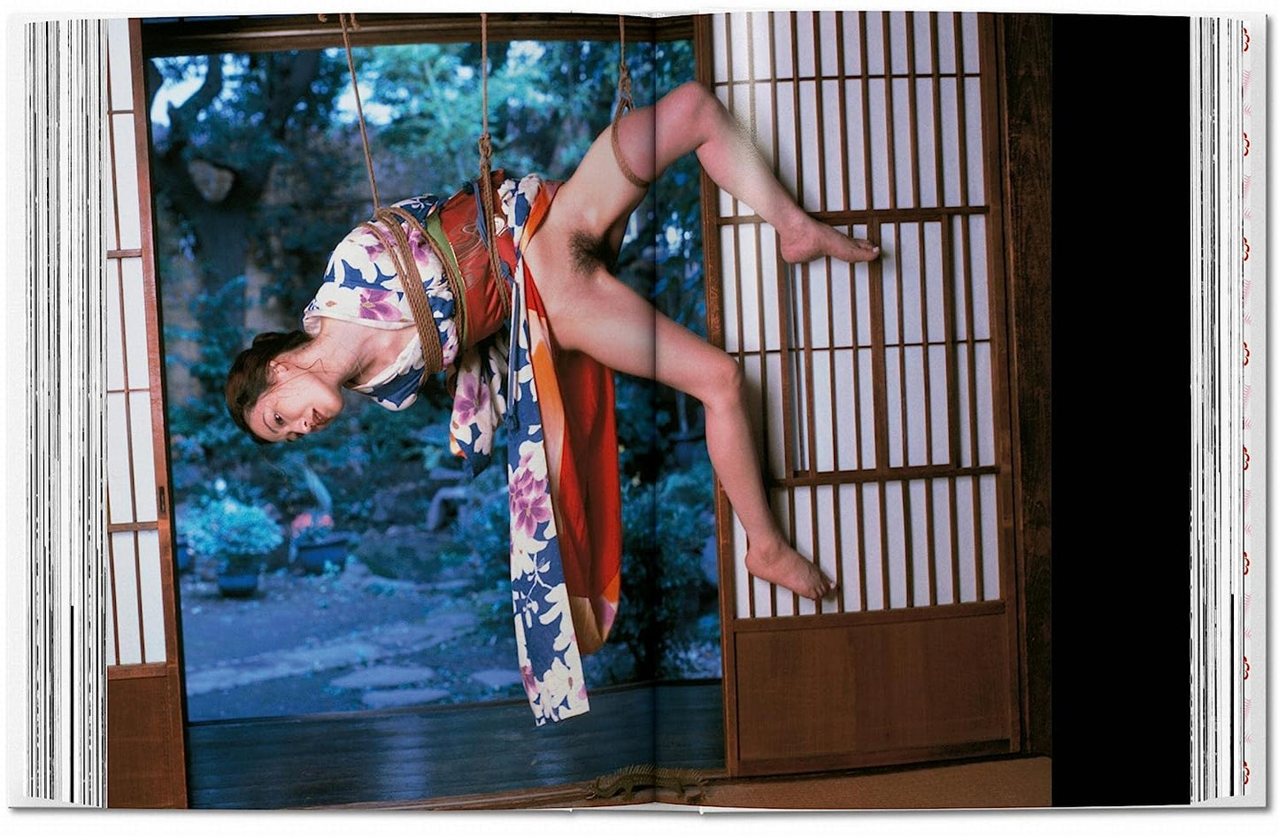 Araki. 40th Ed