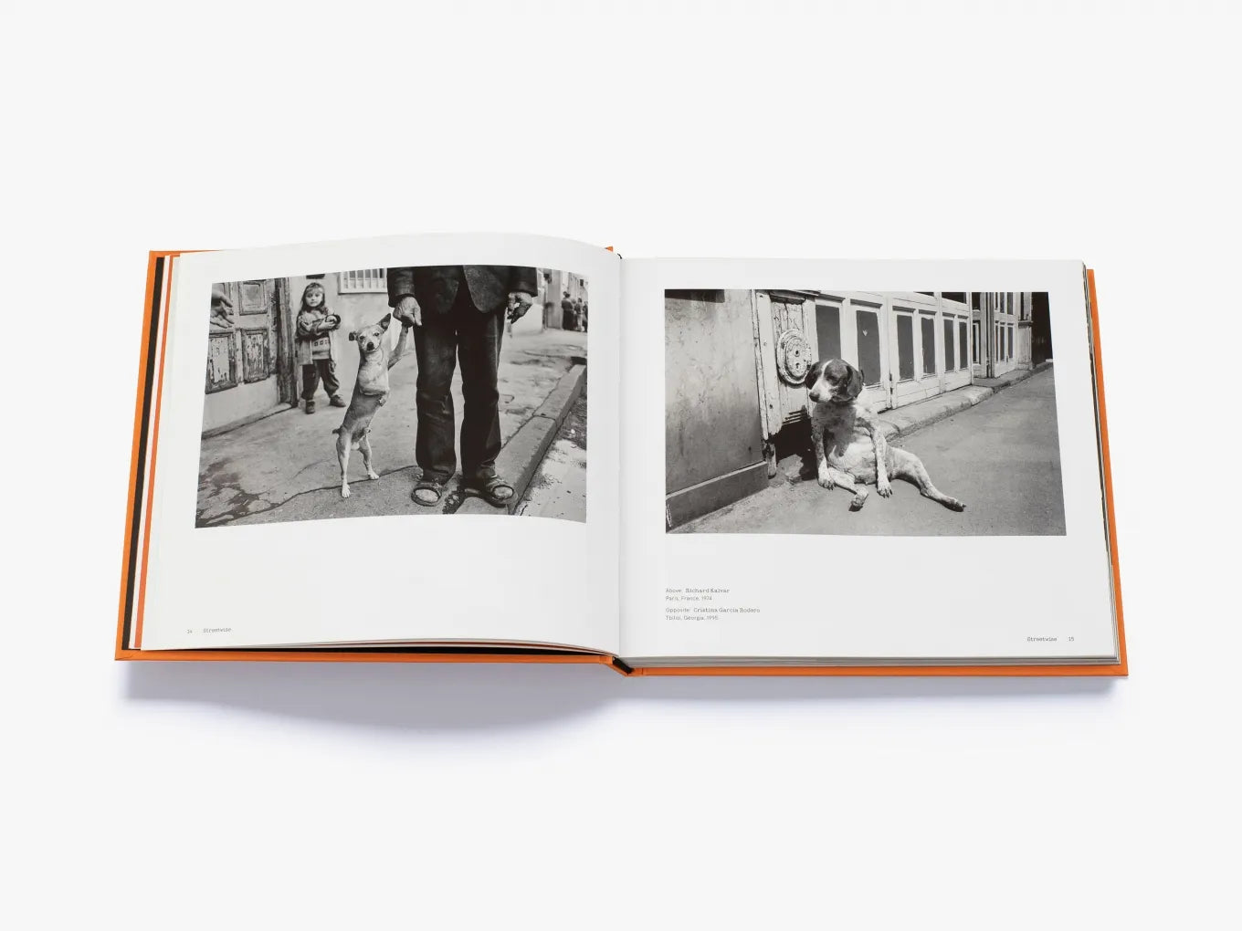 Magnum Dogs by Magnum Photos