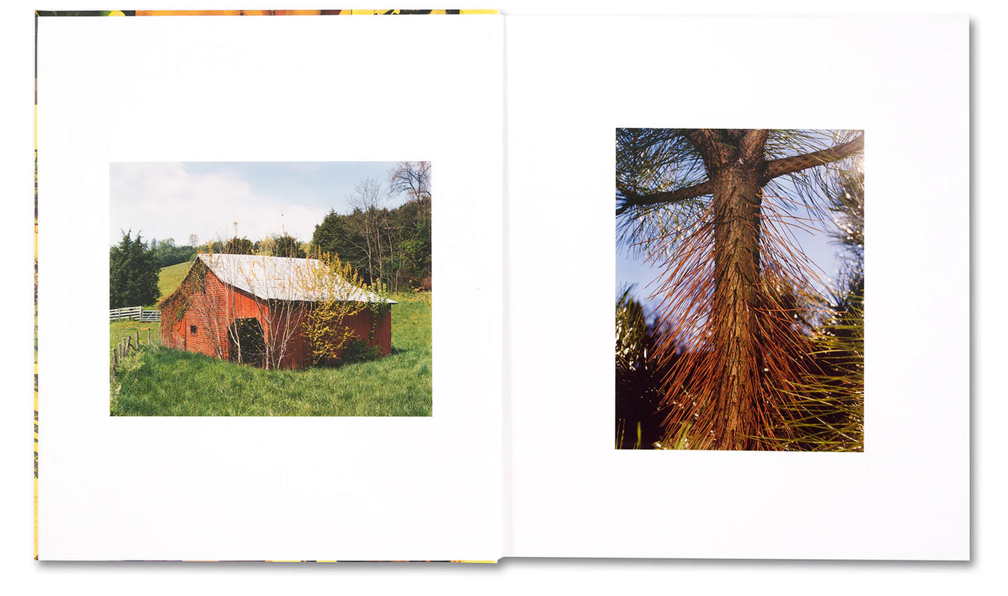 AMERICAN POLYCHRONIC - Roe Ethridge