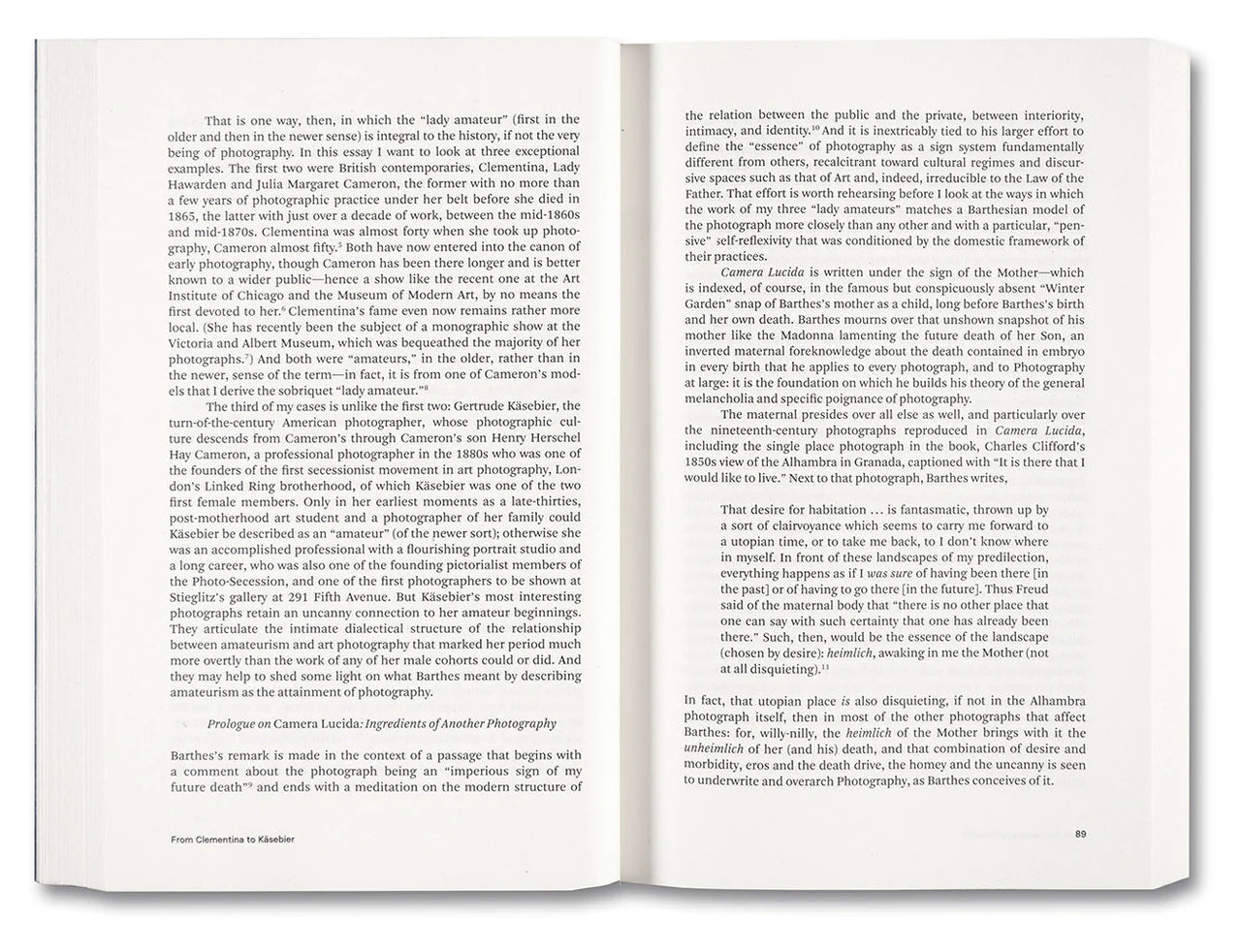 Painting Photography Painting: Selected Essays - Carol Armstrong