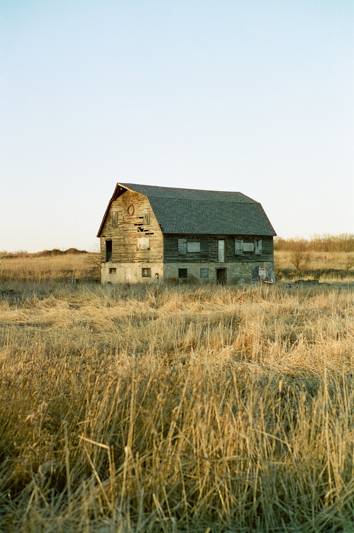Reflx Lab 100 Daylight - C41 - 135 - 36ex
