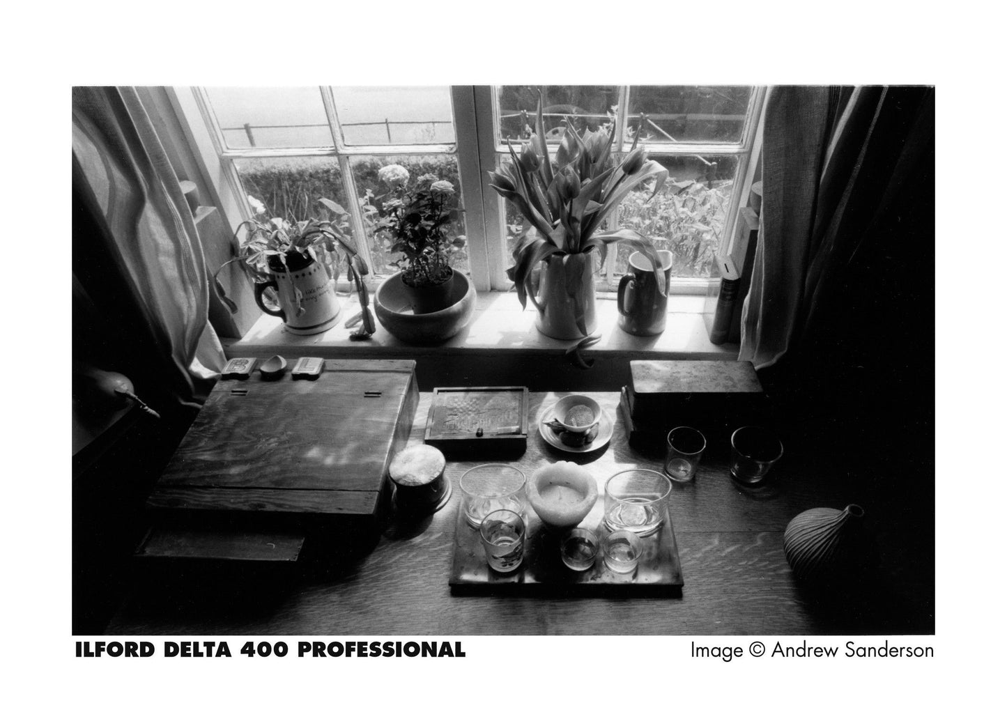 Ilford Delta 400 | 35mm | 100ft roll