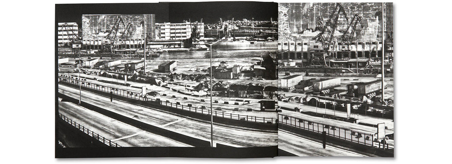 The Castle - Richard Mosse