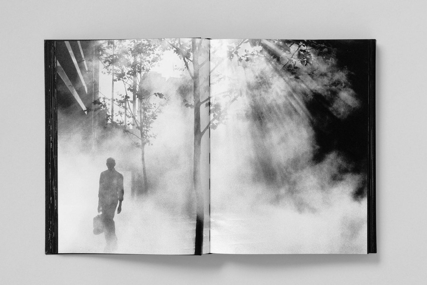 MONUMENT - Trent Parke