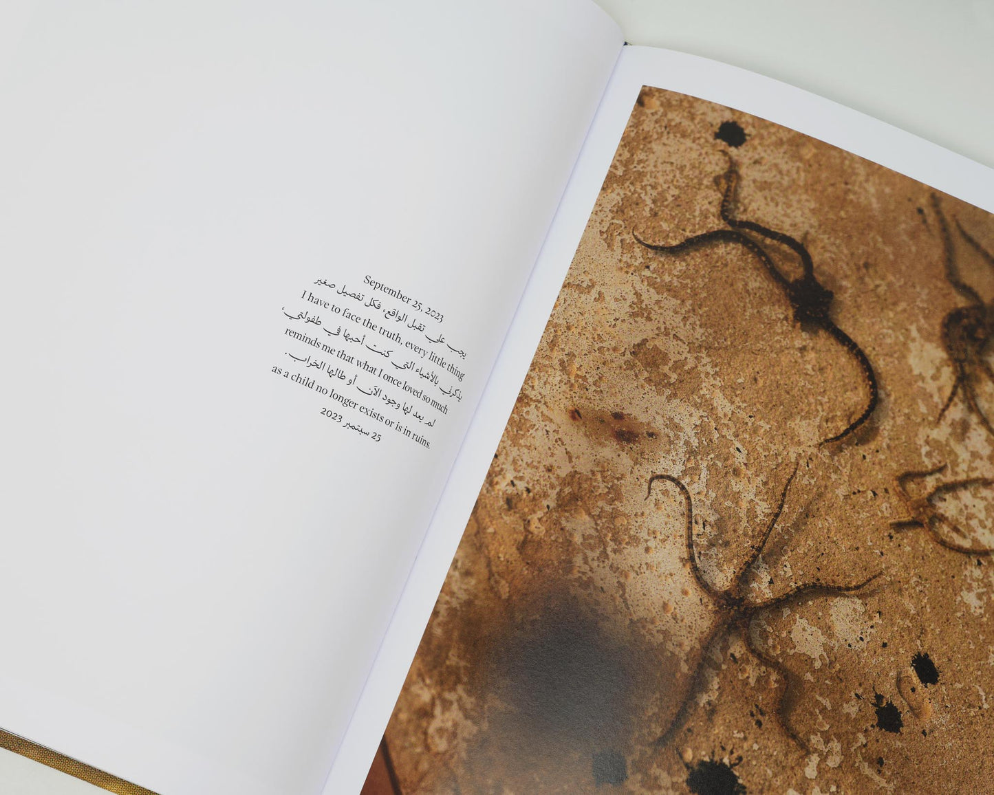 Oumayma Ben Tanfous: Between I and Lands