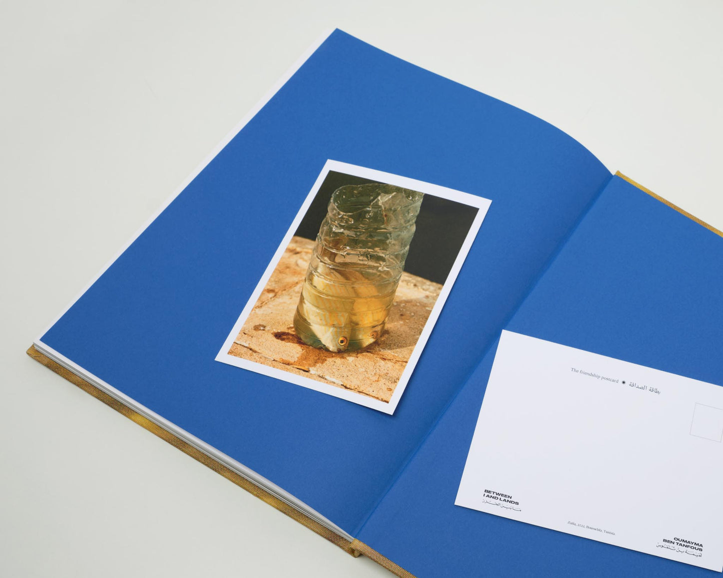 Oumayma Ben Tanfous: Between I and Lands