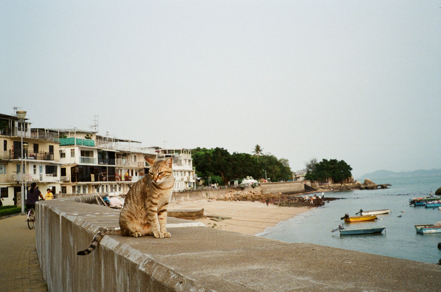 RETOCOLOR PRISM 200 FILM - 35MM - 36EXP