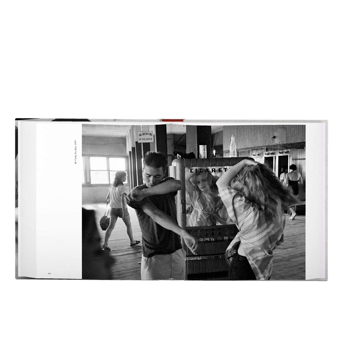 Bruce Davidson: Survey