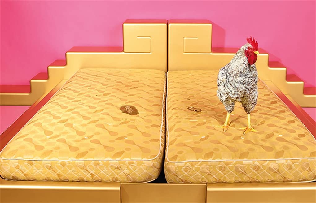 Martin Parr, Maurizio Cattelan, Pierpaolo Ferrari: ToiletMartin PaperParr Book