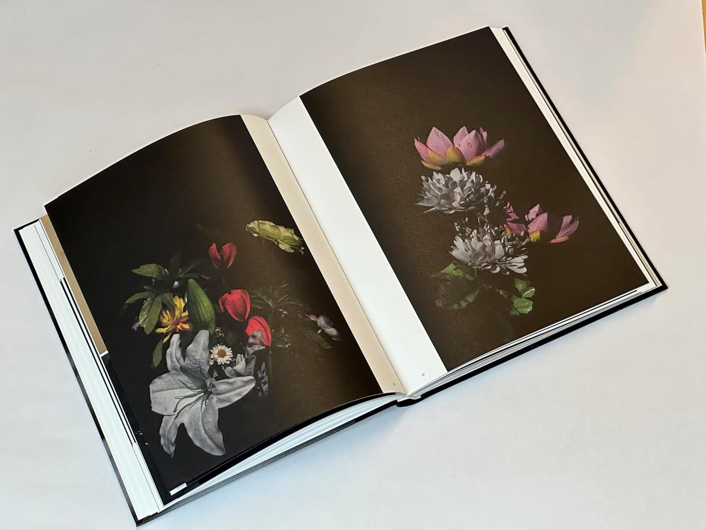 Sakiko Nomura: Tender Is the Night