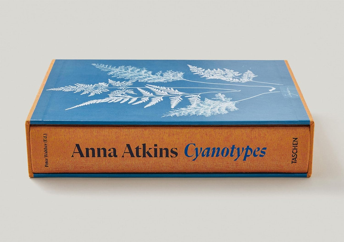 Anna Atkins - Cyanotypes