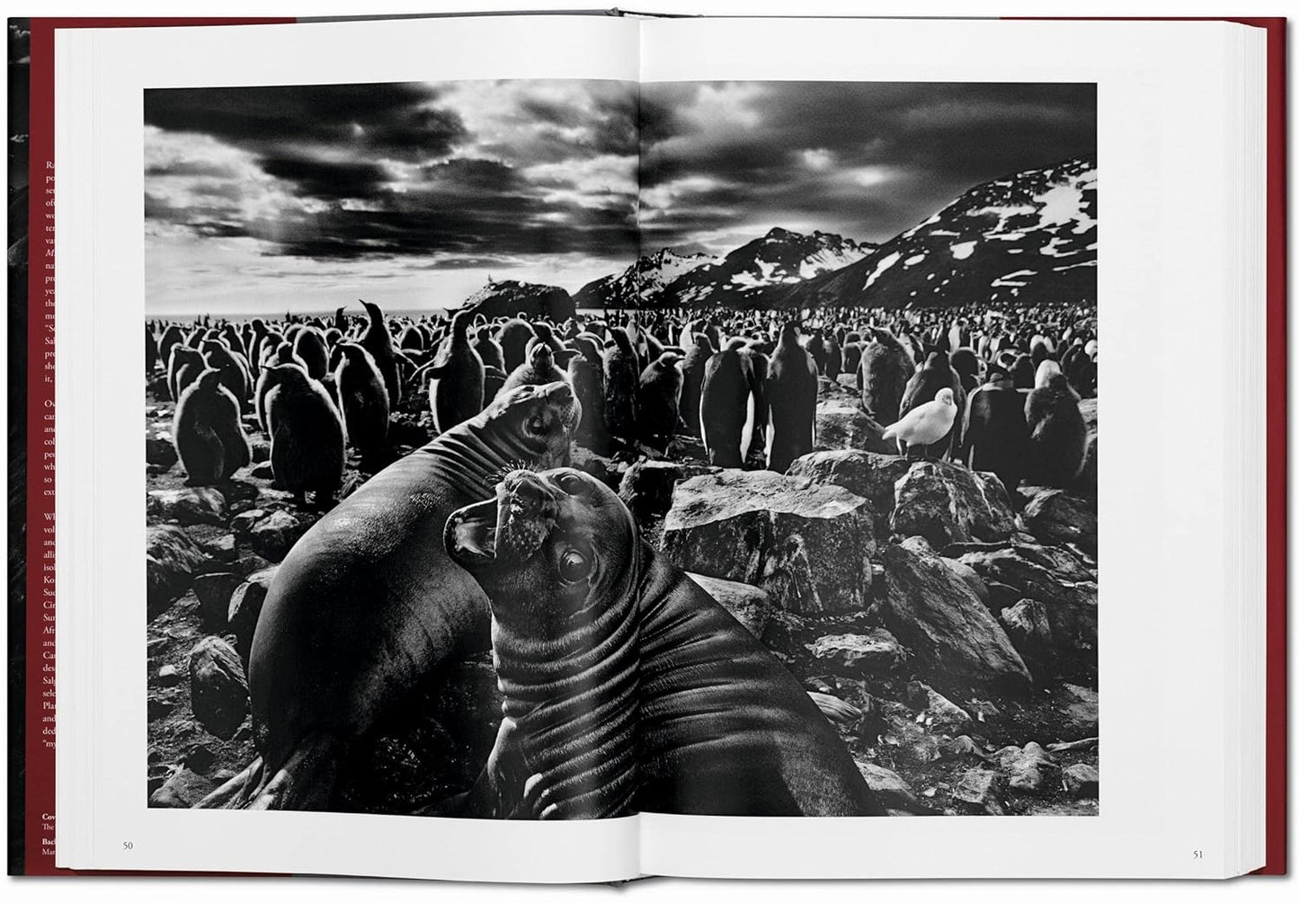 Genesis XL -  Sebastiao Salgado