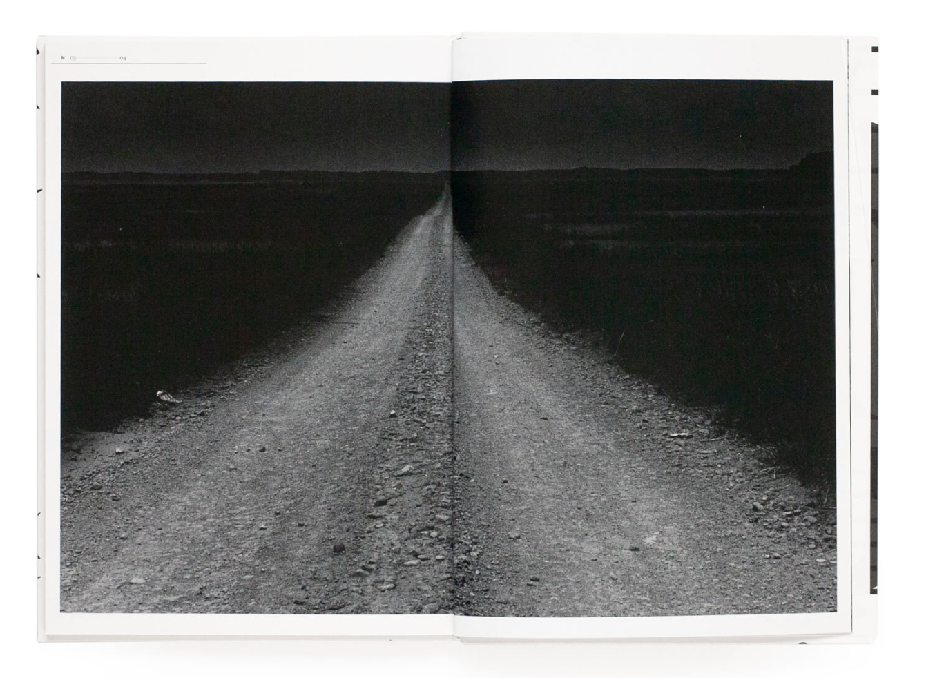 DUO by Hiroyasu Nakai and Daido Moriyama