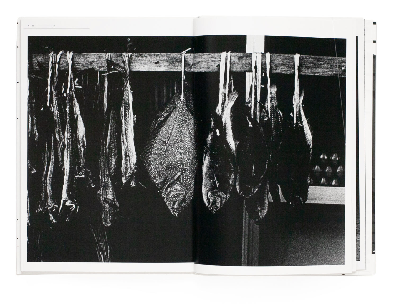 DUO by Hiroyasu Nakai and Daido Moriyama