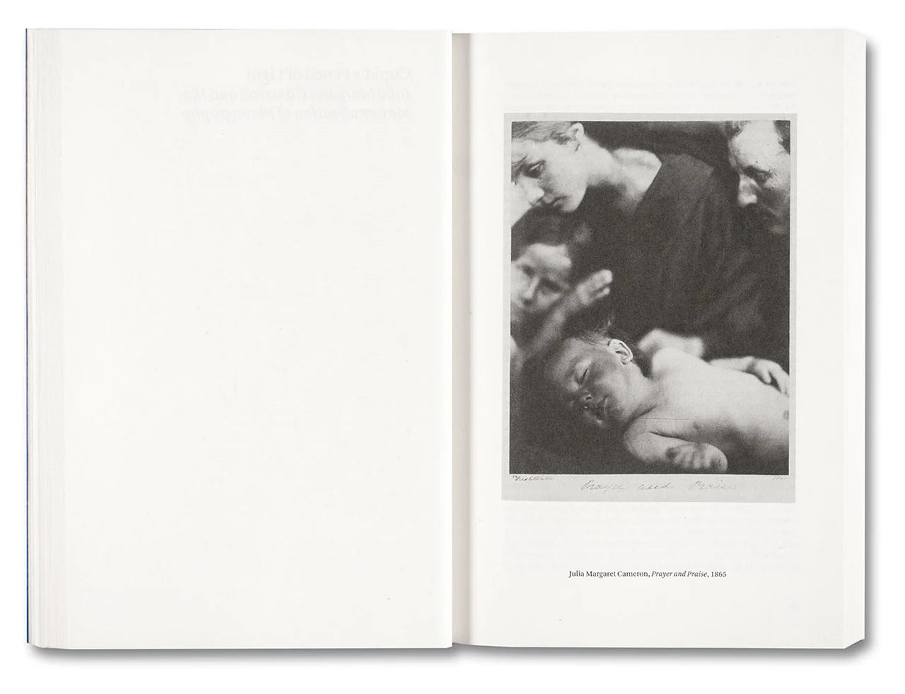 Painting Photography Painting: Selected Essays - Carol Armstrong