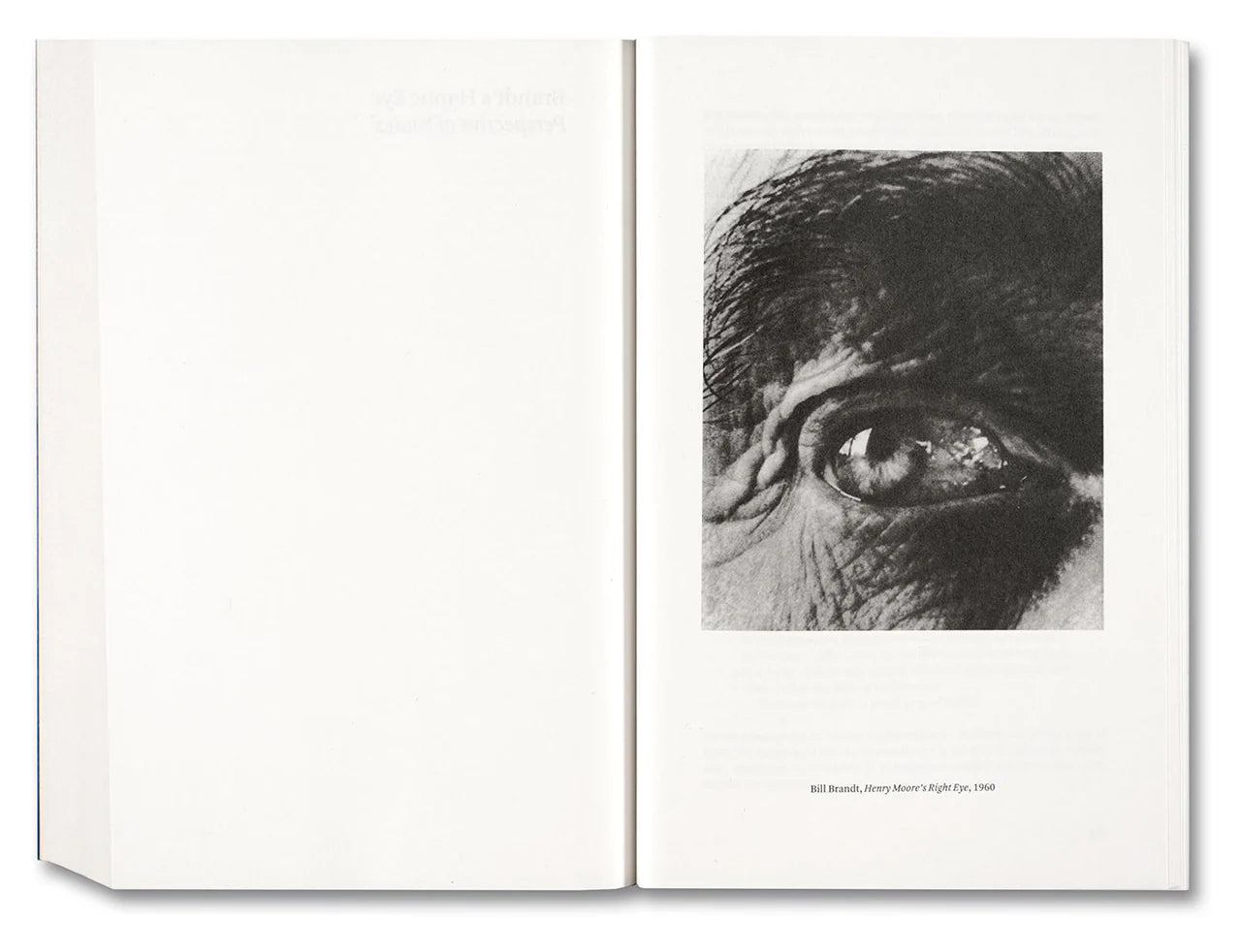 Painting Photography Painting: Selected Essays - Carol Armstrong