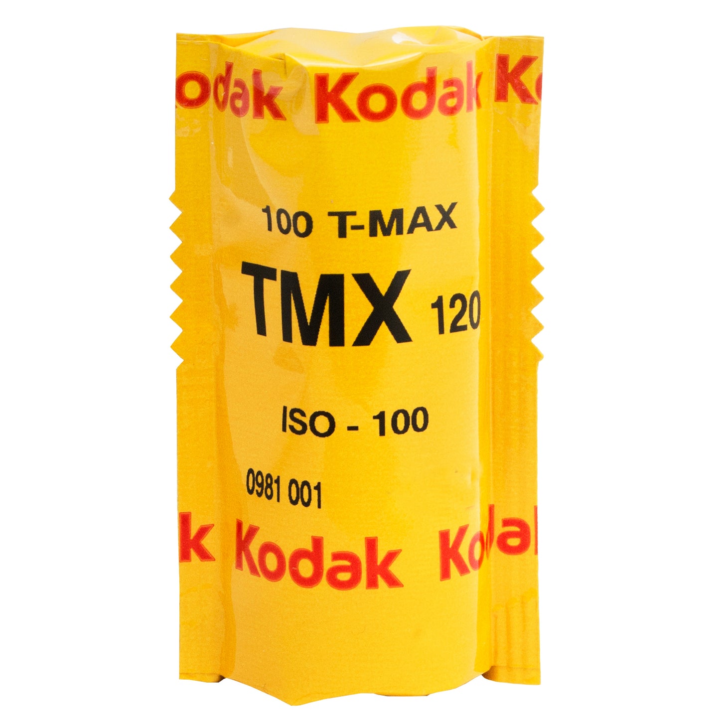 Kodak Professional T-Max 100 | 120